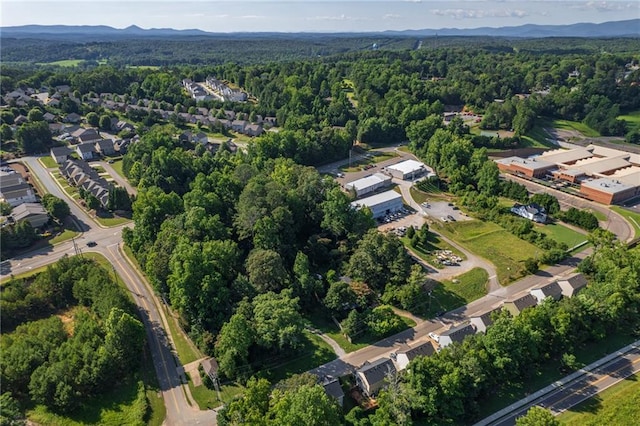 127 Old Canton Rd, Ball Ground, GA 30107