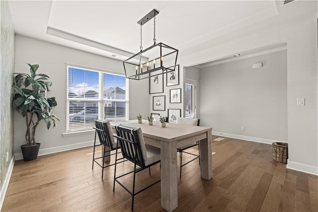 dining room featuring a tray ceiling and hardwood / wood-style floors