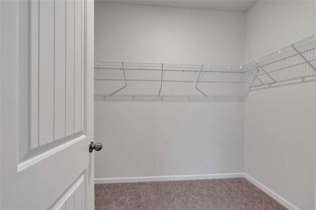 spacious closet with light colored carpet