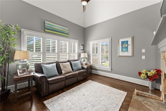 1539 Berkeley Ct, Gainesville, GA 30501 - living room featuring baseboards, high vaulted ceiling, a high end fireplace, and wood finished floors