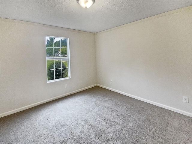 spare room featuring a textured ceiling and carpet floors