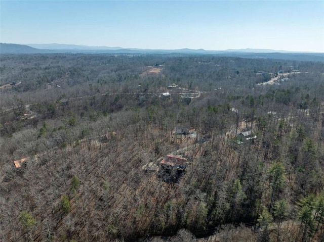 193 Alm Ln, Ellijay, GA 30540 - aerial view of property's location with a heavily wooded area and mountains
