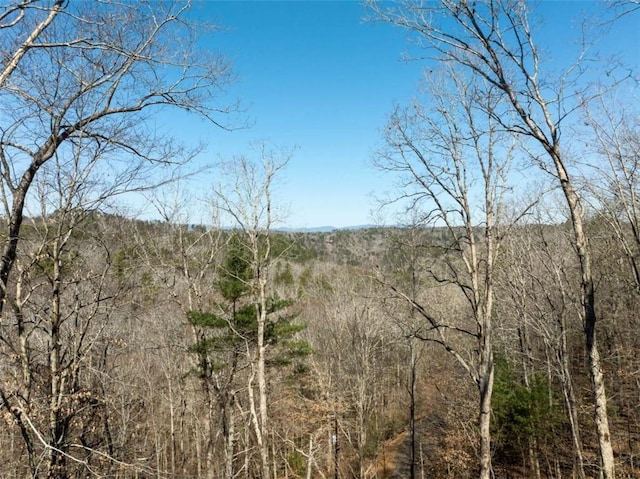 193 Alm Ln, Ellijay, GA 30540 - view of wooded area