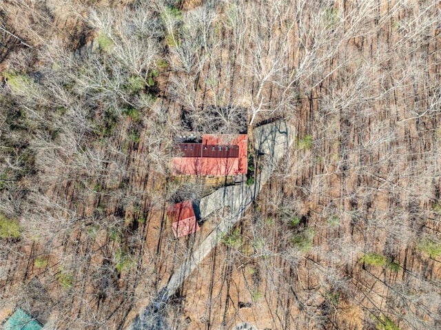 193 Alm Ln, Ellijay, GA 30540 - aerial view