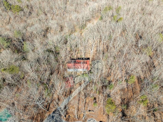 193 Alm Ln, Ellijay, GA 30540 - aerial view