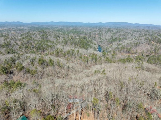 193 Alm Ln, Ellijay, GA 30540 - mountain view
