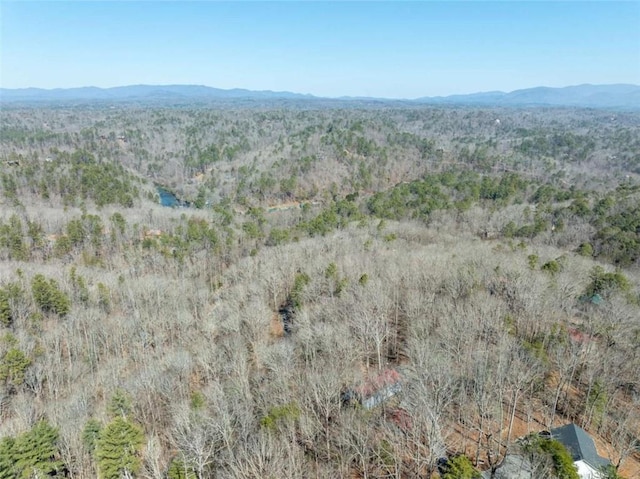 193 Alm Ln, Ellijay, GA 30540 - view of mountain background