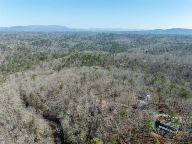 193 Alm Ln, Ellijay, GA 30540 - aerial overview of property's location featuring mountains