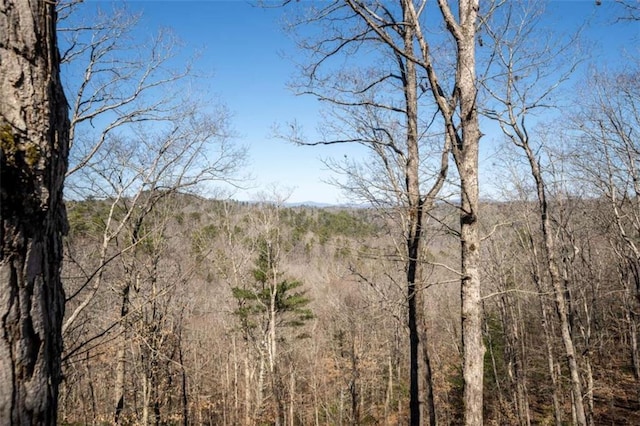 193 Alm Ln, Ellijay, GA 30540 - view of wooded area