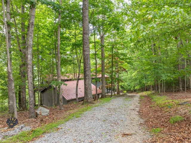 193 Alm Ln, Ellijay, GA 30540 - view of dirt / gravel driveway with a view of trees