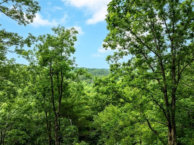 193 Alm Ln, Ellijay, GA 30540 - view of wooded area