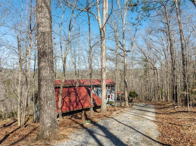 193 Alm Ln, Ellijay, GA 30540 - view of front of property with a wooded view and driveway