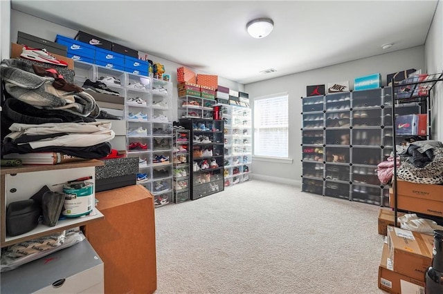2860 Windsor Knoll Dr, Dacula, GA 30019 - view of storage