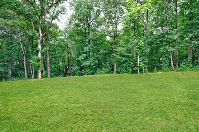 view of yard featuring a forest view