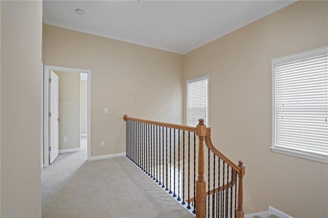 hallway with light carpet