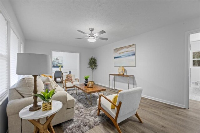 dining space with hardwood / wood-style flooring, crown molding, and a textured ceiling