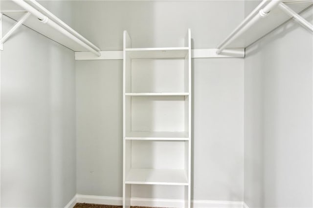 view of walk in closet