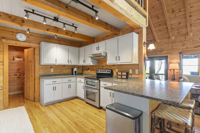 852 Black Bear Den Rd, Clayton, GA 30525 - kitchen featuring under cabinet range hood, a peninsula, double oven range, and wooden walls