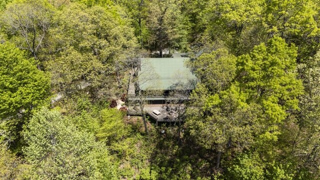 852 Black Bear Den Rd, Clayton, GA 30525 - drone / aerial view with a wooded view