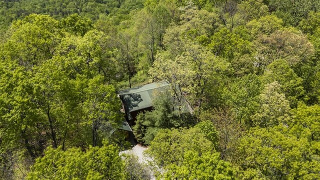 852 Black Bear Den Rd, Clayton, GA 30525 - bird's eye view featuring a wooded view
