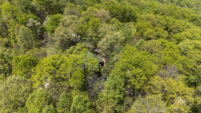 852 Black Bear Den Rd, Clayton, GA 30525 - drone / aerial view featuring a view of trees