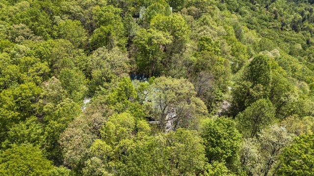 852 Black Bear Den Rd, Clayton, GA 30525 - exterior space with stairs