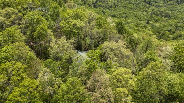852 Black Bear Den Rd, Clayton, GA 30525 - rear view of house featuring a wooden deck