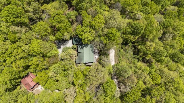 852 Black Bear Den Rd, Clayton, GA 30525 - view of layout