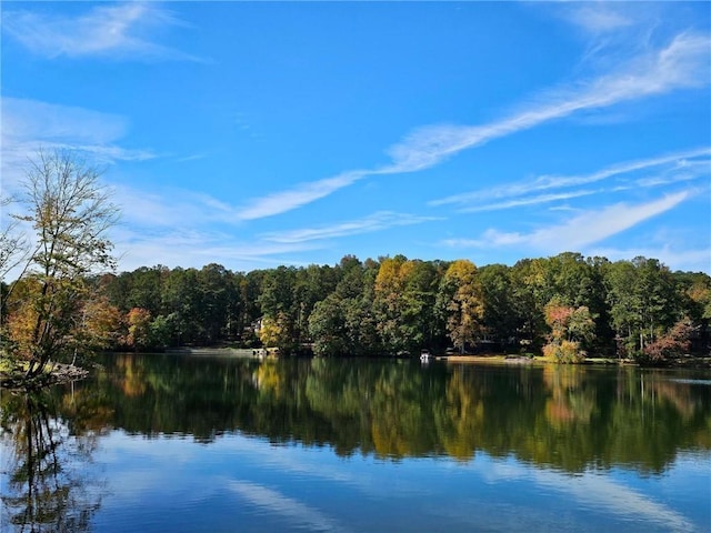 property view of water