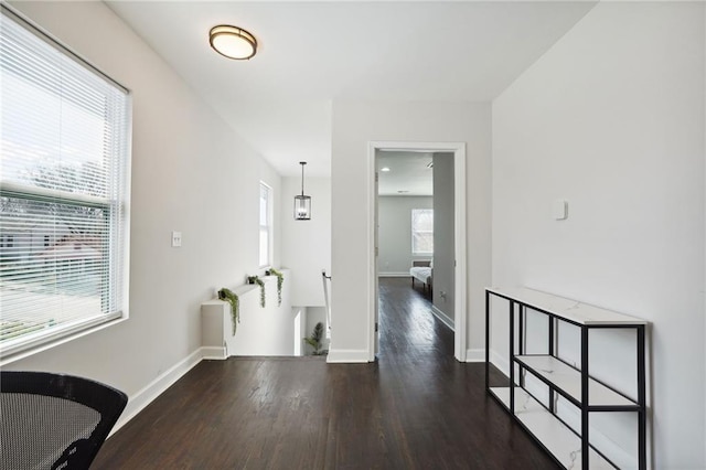 hallway featuring dark hardwood / wood-style flooring