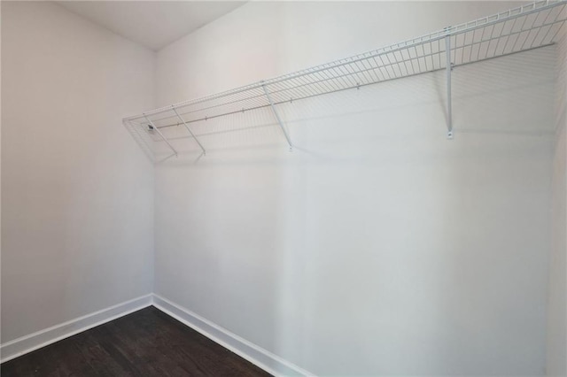 spacious closet with hardwood / wood-style flooring