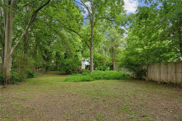 1735 Jobeth Ave SE, Atlanta, GA 30316 - view of yard