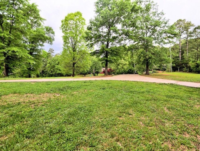 exterior space with a yard
