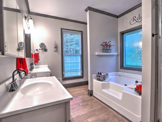bathroom featuring crown molding, vanity, a bath, and wood finished floors