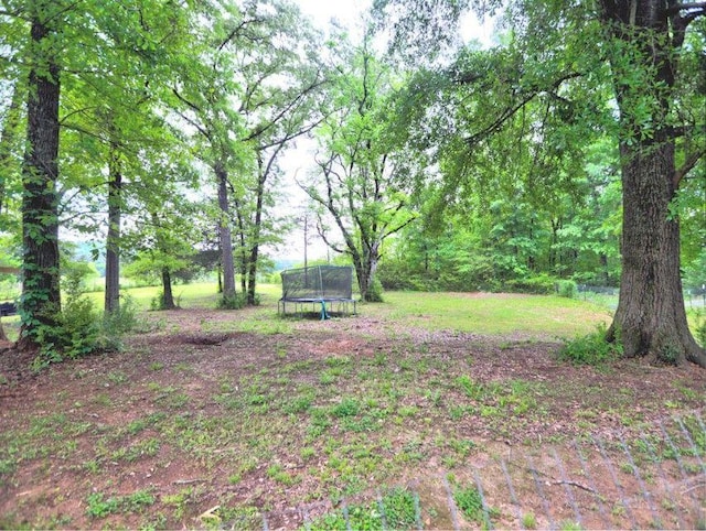 view of yard featuring a trampoline