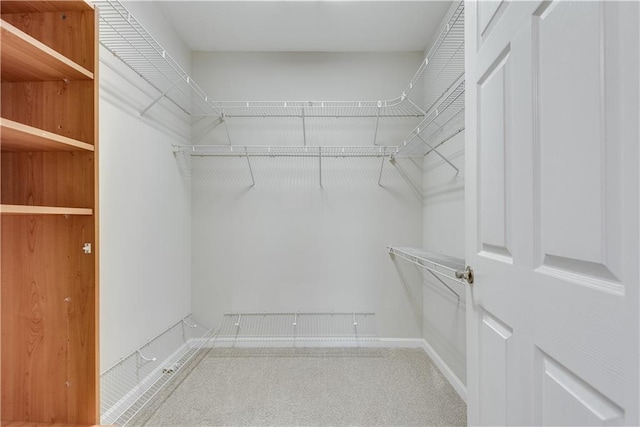 walk in closet featuring carpet flooring