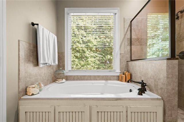 bathroom featuring a bath and a healthy amount of sunlight