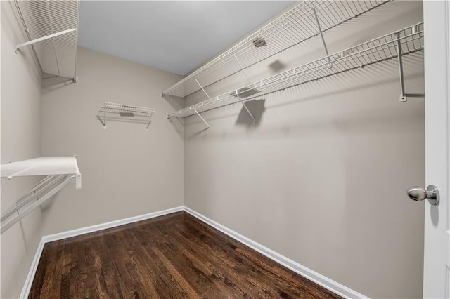 walk in closet featuring hardwood / wood-style flooring