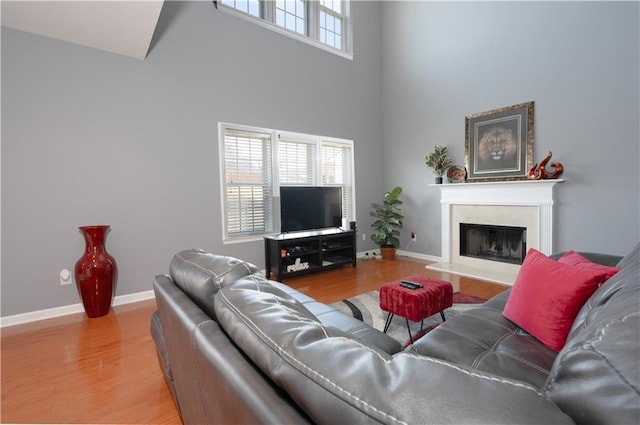 living area featuring light wood-style floors, plenty of natural light, a premium fireplace, and baseboards