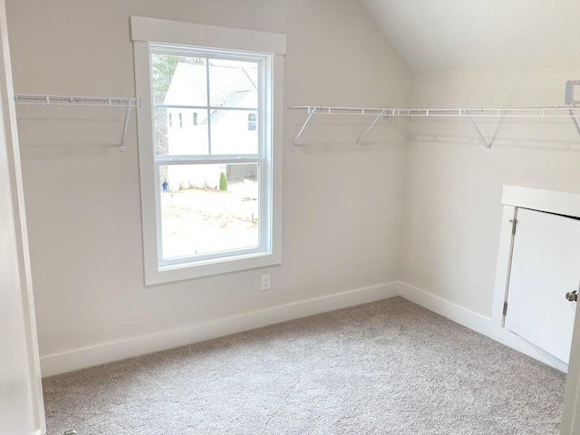 walk in closet featuring vaulted ceiling and carpet