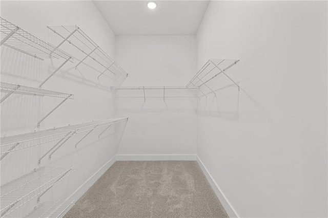 spacious closet with carpet