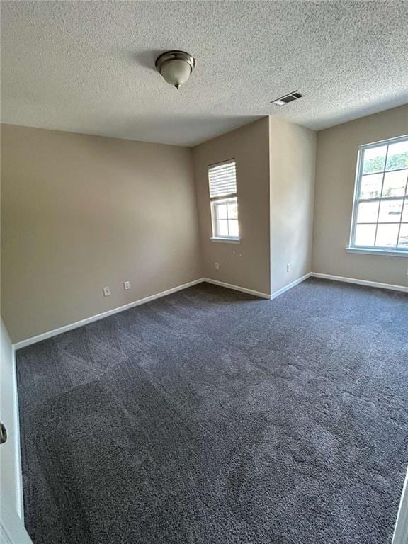 carpeted spare room featuring a wealth of natural light and a textured ceiling