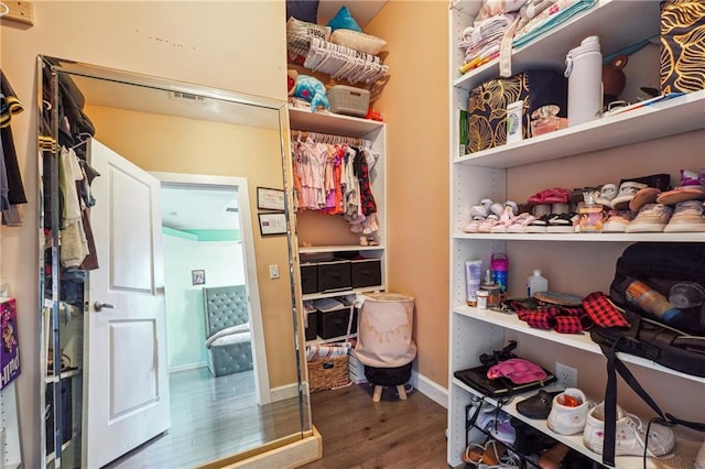 spacious closet with wood finished floors