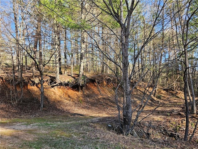 Listing photo 3 for LOT0 Bahn Erlenbruck, Helen GA 30545