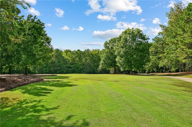 view of community featuring a yard