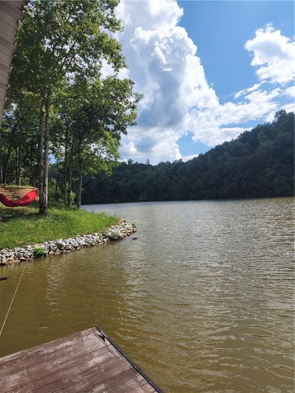 dock area with a water view