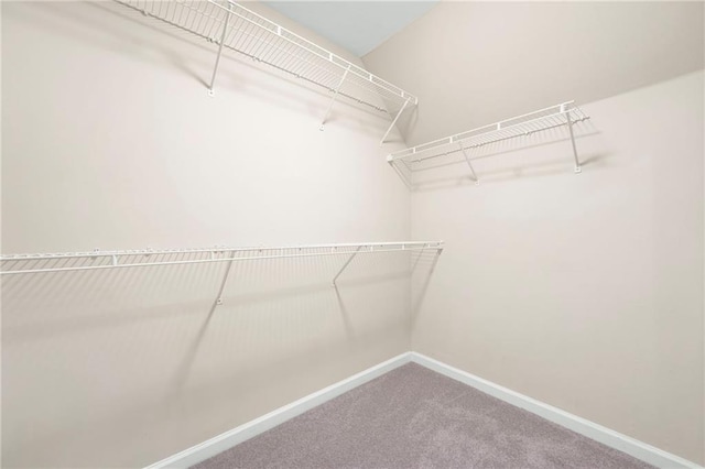 4957 Day Lily Way NW, Acworth, GA 30102 - spacious closet with carpet