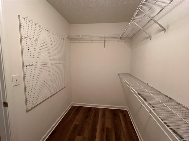 spacious closet with wood finished floors