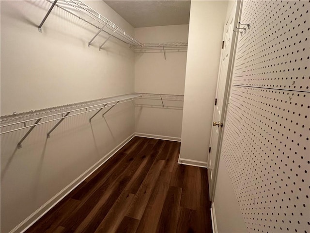 walk in closet featuring wood finished floors