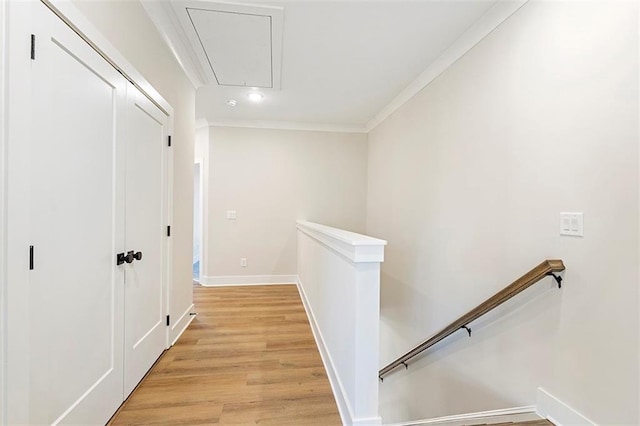 corridor with light hardwood / wood-style flooring and crown molding